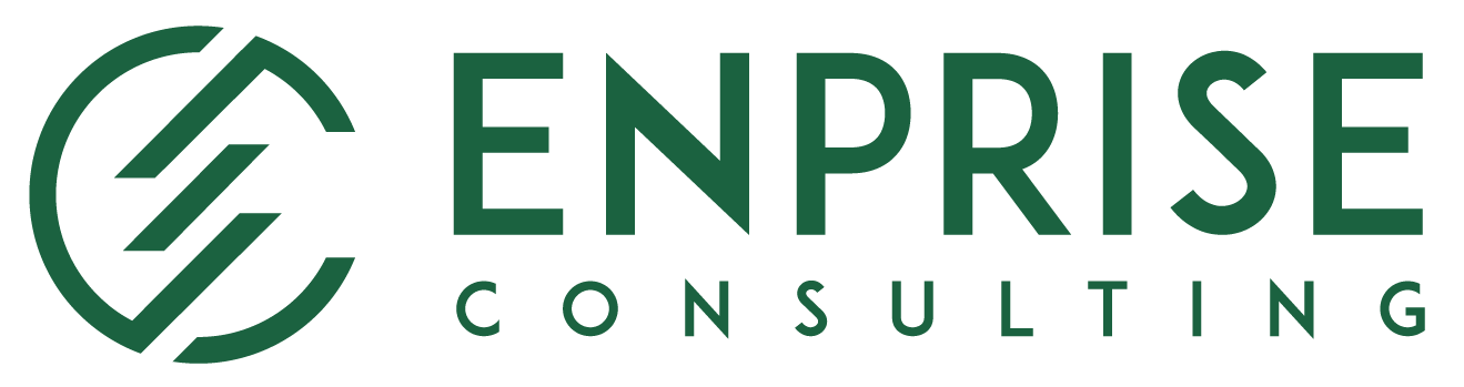 ERP Excellence